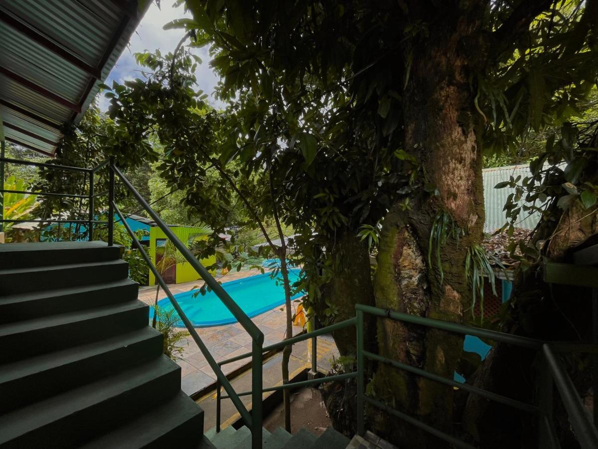 Los Amigos Jungle Hotel Tortuguero Exterior photo