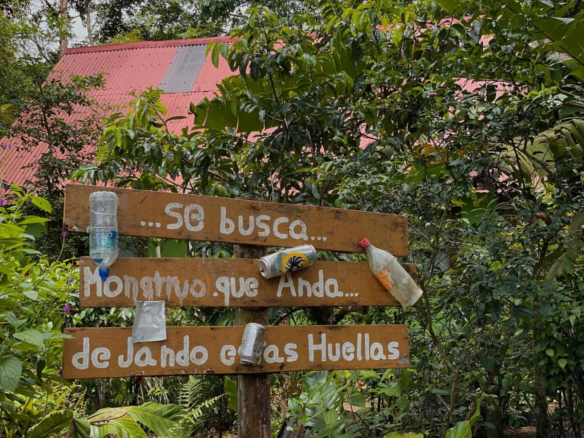 Los Amigos Jungle Hotel Tortuguero Exterior photo