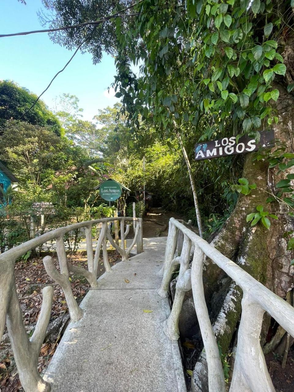 Los Amigos Jungle Hotel Tortuguero Exterior photo